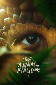 El reino animal